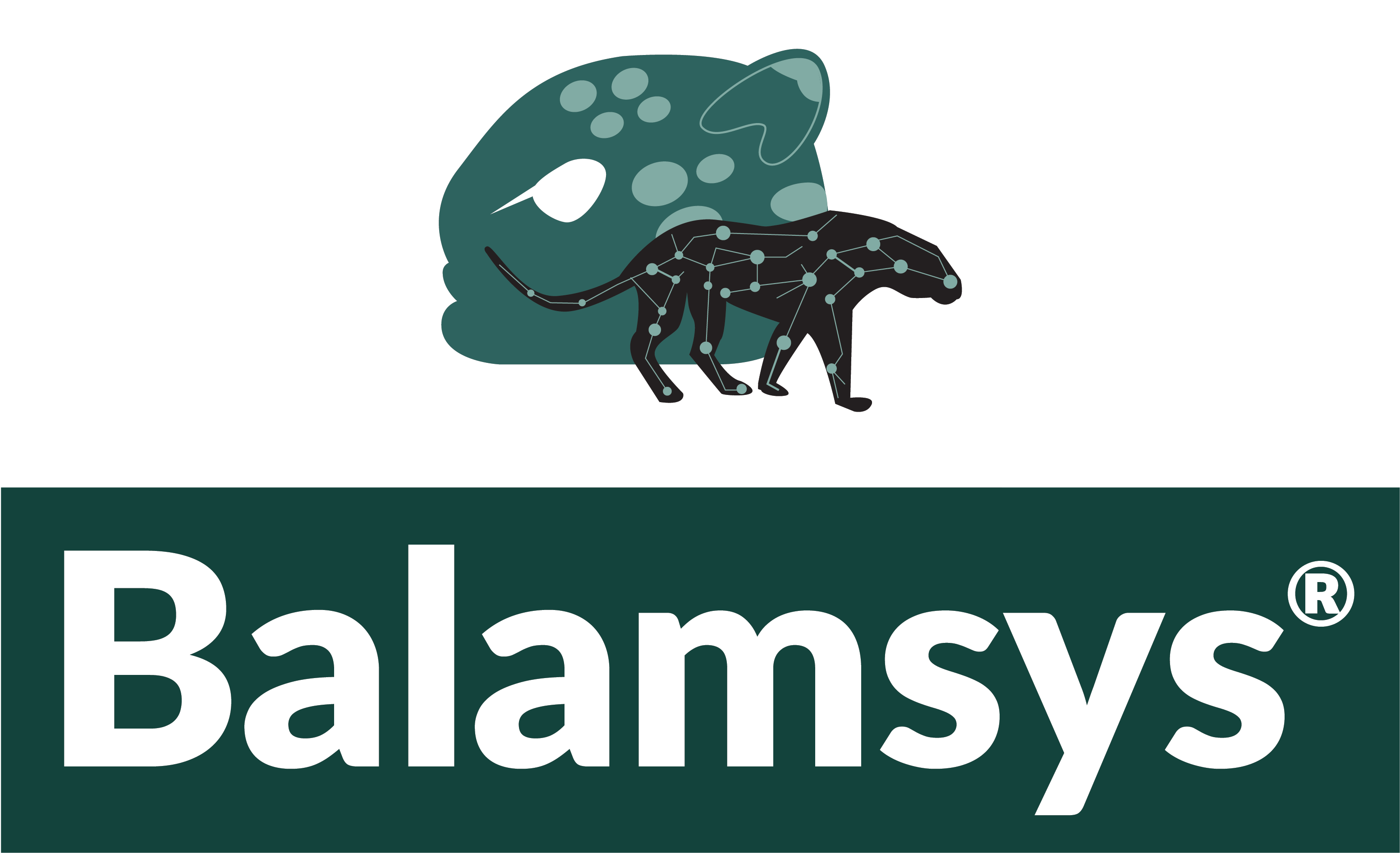 Logo Balamsys